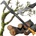Fiskars XA23 WoodXpert 1003621