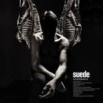 Universal Antidepressants: Suede - CD (085178)