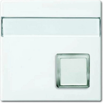 Busch-Jaeger 2CKA001582A0397