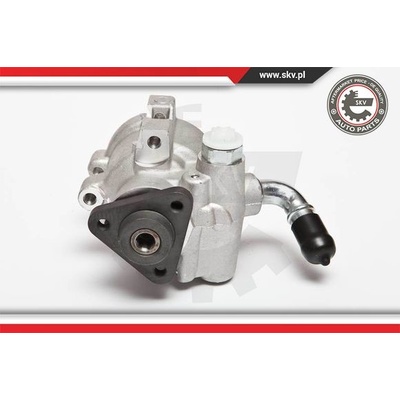 Hydraulické čerpadlo pre riadenie ESEN SKV 10SKV041