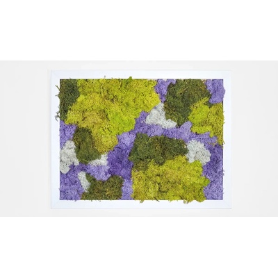 LEDmech Mechový obraz - bílý rám, fialový 42 x 30 cm
