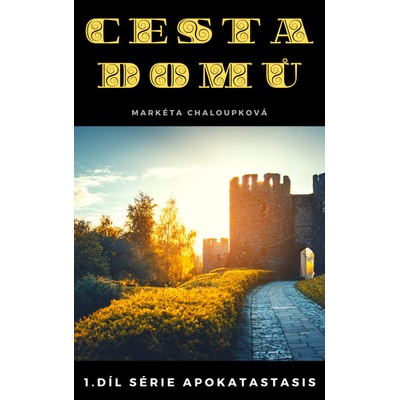 Cesta domů