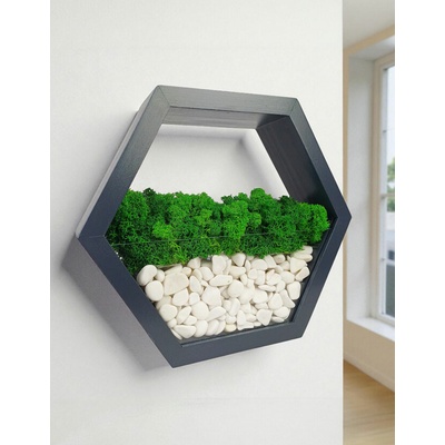 Machový šesťuholník so stabilizovaným machom, mosárium Polica Hexagon v sivej farbe - 20 cm