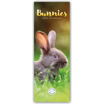 Browntrout Verlags GmbH Bunnies - Hasen - Kaninchen 2026 - Slimline-Kalender | Carousel Calendar