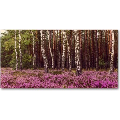 Foto obraz sklo tvrzené vresoviská 100x50 cm