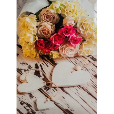 FANDY Fotoalbum 9x13 300 foto 2-up Steam 2 – Hledejceny.cz