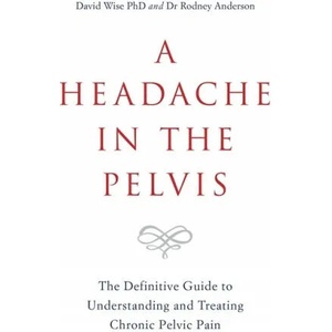 Headache in the Pelvis | Wise, David, PhD, Rodney Anderson (ISBN: 9781788171892)
