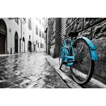 DIMEX ART Флизелинов фототапет ретро син велосипед 375 x 250 см