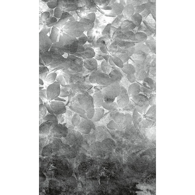 DIMEX MS-2-0355 vliesová fototapeta 150 x 250 cm