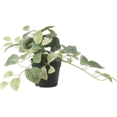 Ikea Umělá květina v květináči Fittonia 17 cm