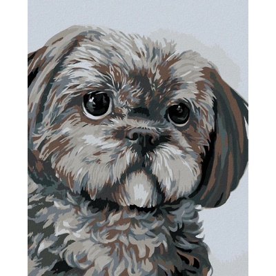 zuty Malování Podle Čísel Pejsek Myroslava Voloschuk 80 x 100 Cm Plátno