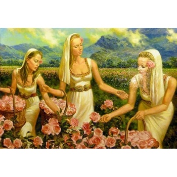 Image 1 of Розоберки 50/40 см