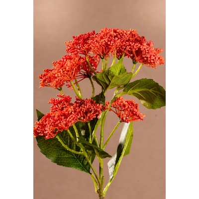 Paramit BUDDING HYDRANGEA Aranžovací květina červená 56 cm