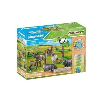 PLAYMOBIL 71307 Krajina