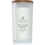 Chesapeake Bay Mind & Body Peace & Tranquility 355 g