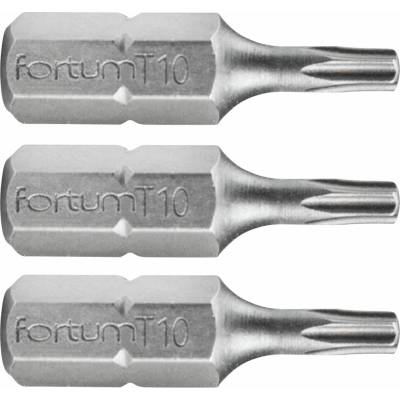 Fortum T10x25 mm 3 ks 4741410