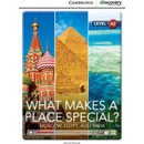 CDE 3 WHAT MAKES A PLACE SP +ONLINE CODE