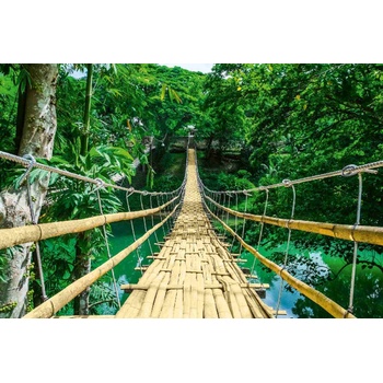 DIMEX ART s. r. o Флизелинов фототапет висящ мост от бамбук 375 x 250 см