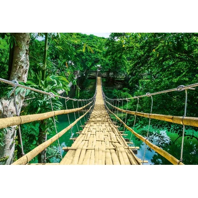 DIMEX ART Флизелинов фототапет висящ мост от бамбук 375 x 250 см