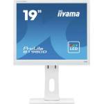 iiyama ProLite E1980D Монитори