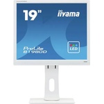 iiyama ProLite E1980D Монитори