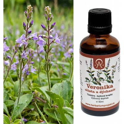 Herbarium Projekt Veronika lekárska očista a dýchanie tinktúra 50 ml