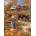 SunsOut - Puzzle Gelsinger - The Pumpkin Patch Farm - 1 000 piese
