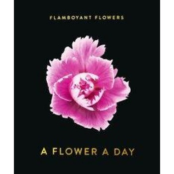 Seltmann Publishers GmbH Flamboyant Flowers Perpetual Calendar | Nicolas Meriel