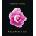 Seltmann Publishers GmbH Flamboyant Flowers Perpetual Calendar | Nicolas Meriel