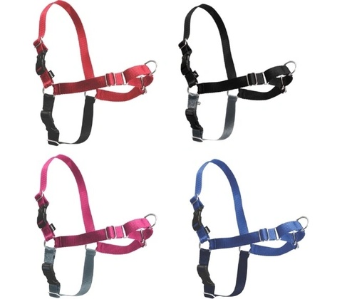 PetSafe Postroj EasyWalk