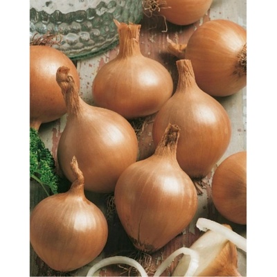 Moravoseed Semienka Cibuľa jarná Všetana