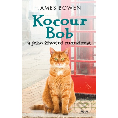 Kocour Bob a jeho životní moudrost - James Bowen