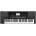 Korg PA300