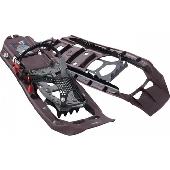 MSR EVO Trail iron