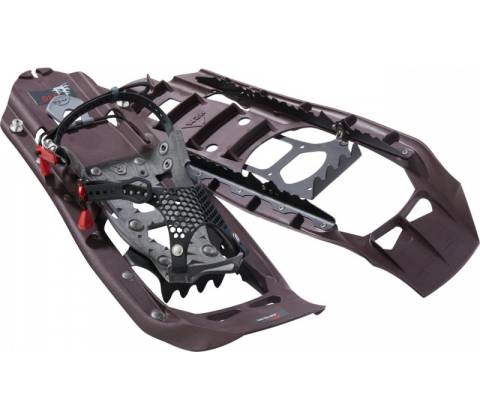 MSR EVO Trail iron