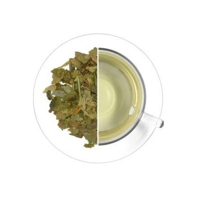 Oxalis Ginkgo list 50 g