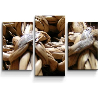Sablio Obraz - 3-dílný Banánové listí - 75x50 cm