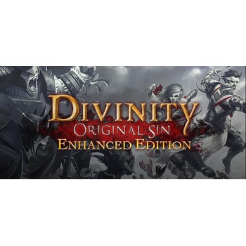 Divinity: Original Sin (Enhanced Edition)