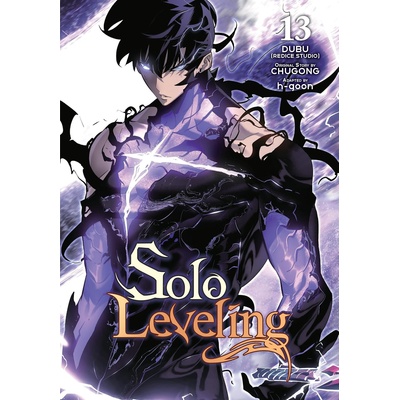 SOLO LEVELING V13