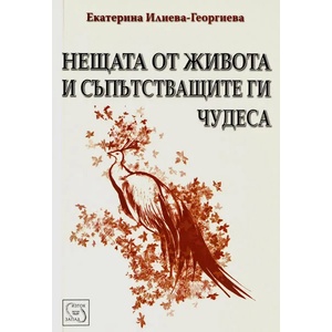 Нещата от живота и съпътстващите ги чудеса (2012)