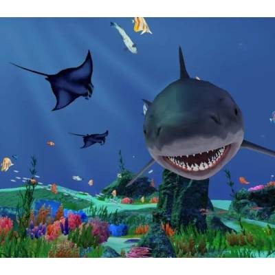 Fancy Fishing VR