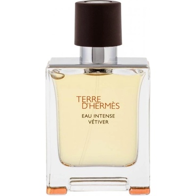 Hermès Terre D´ Hermès Eau Intense Vétiver parfumovaná voda pánska 50 ml