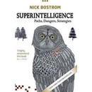 Superintelligence