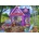 Bluebird Puzzle - Puzzle She Shed Studio - 1 000 piese