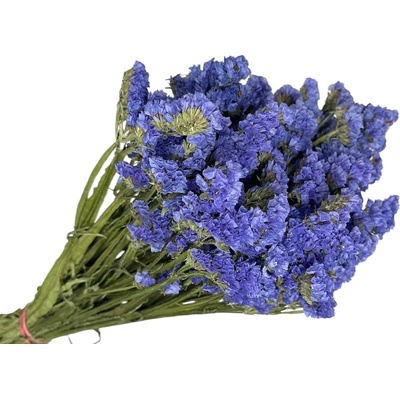 Sušená limonka - Statice Limonium 100g - modré