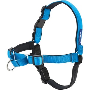 PetSafe Противоплъзгащ колан EasyWalk Deluxe - S, син