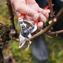 Image 1 of FELCO 14
