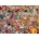 Cobble Hill - Puzzle Beach Scene - 1 000 piese
