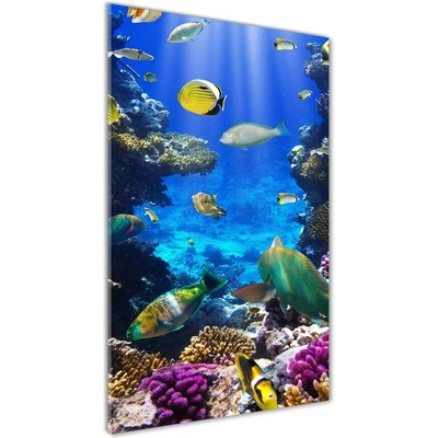 Vertikálny foto obraz sklenený Koralový útes 50x100 cm