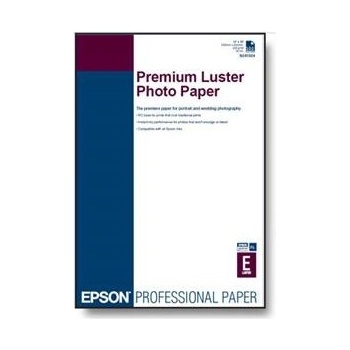 Epson C13S042123